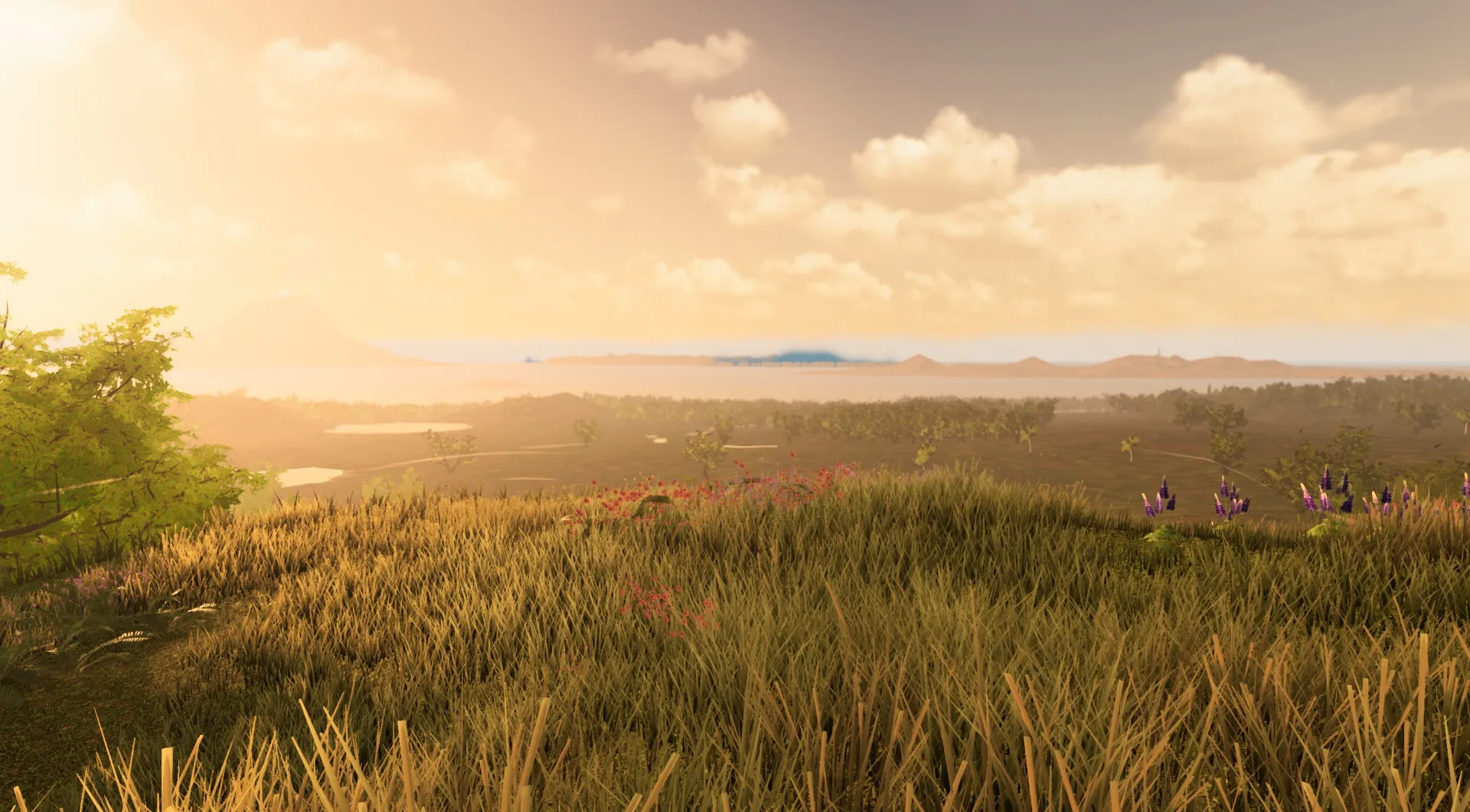 Evening light over the sea and the islands