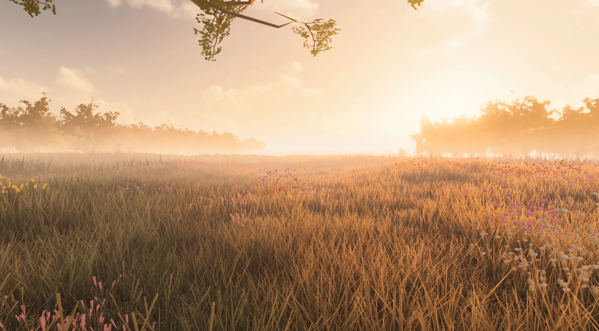 A golden morning meadow between two groves
