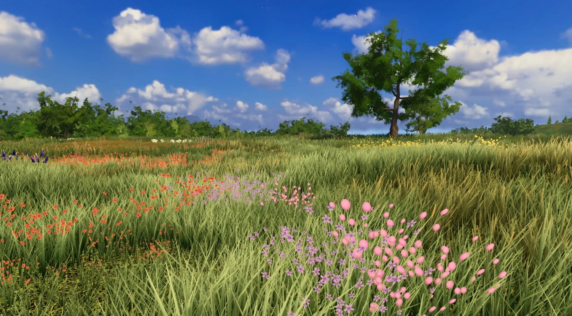 A lone oak in a meadow full of flowers
